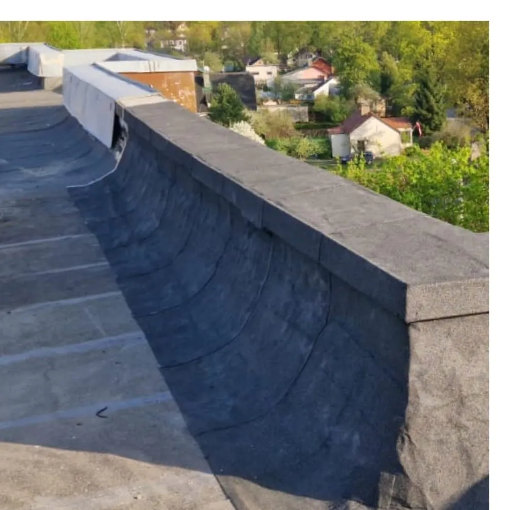 Jumtu un skārda mezglu remonts — Pirms 3